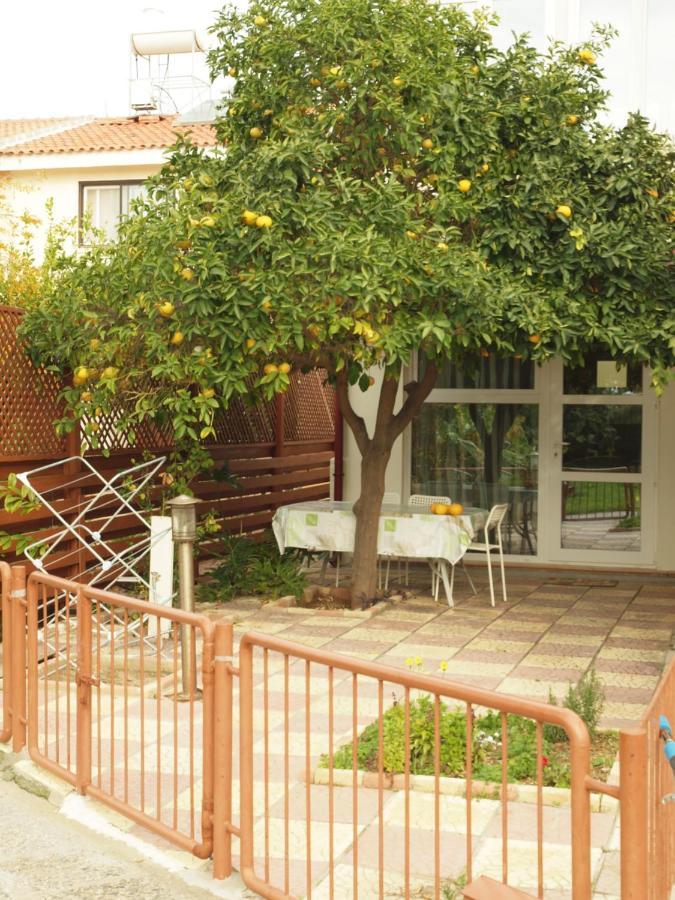 Moon-Light Studio Hotel Larnaca Exterior foto